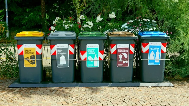 Chester residents fined over waste disposal failures: what residents need to know