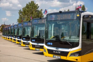 A row of yellow and black MAN buses parked outdoors with destination signs reading Jelgava.