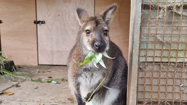 Leeds zoo joins national elite with excellence accreditation