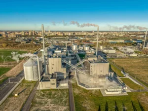 Lithuania Opens €70m Rapeseed Plant to Process Half of National Crop: what residents need to know
