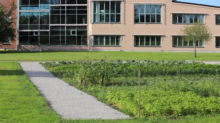 A modern academic building with large glass windows overlooking a structured campus vegetable garden and lawn.