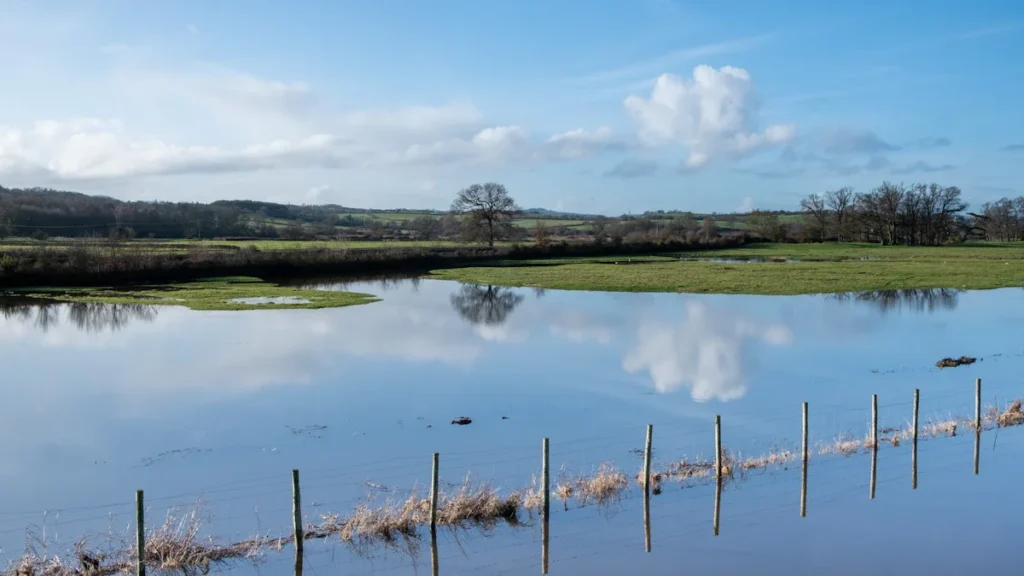 Flooded agricultural fields in the English countryside under a bright blue sky