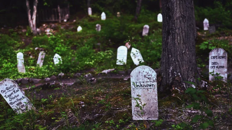 Weathered and moss-covered tombstones stand in a dense, overgrown forest cemetery under soft natural light.