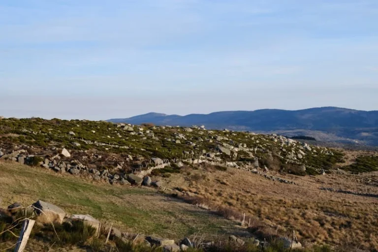 Walk through two billion years of history on Bromley’s Millennium Rock trail