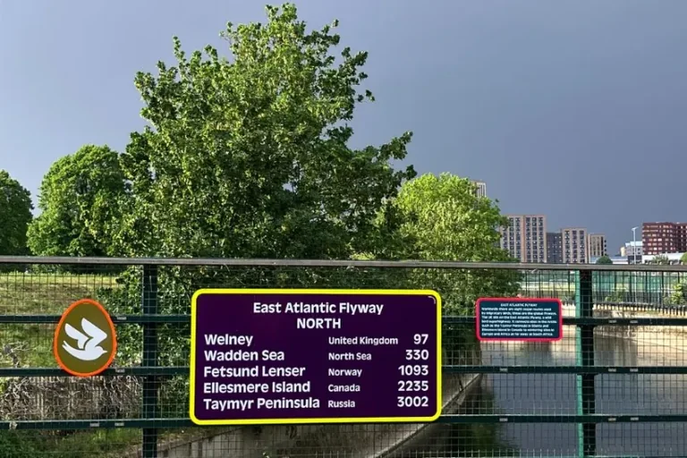 Walthamstow Wetlands gets playful bird signs