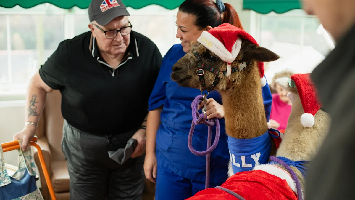 Elderly man interacting with a therapy alpaca wearing a Santa hat at a centre.