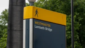 Lambeth residents get first Green-run council: what residents need to know
