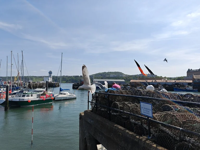 Scarborough West Pier plans set out harbour changes: what residents need to know